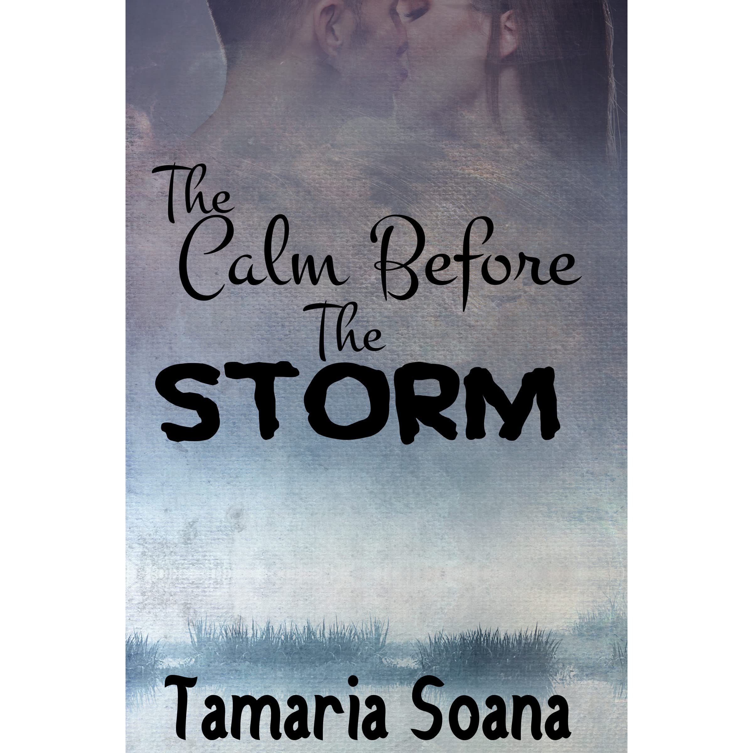 The Calm Before the Storm by Tamaria Soana — Reviews, Discussion