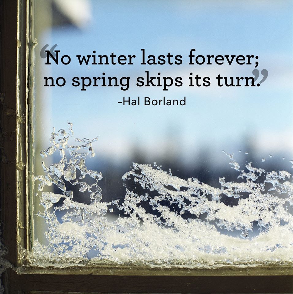 No winter lasts forever, no spring skips its turn. Spring quotes