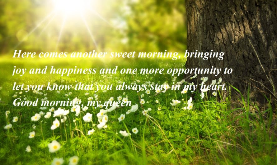 Spring Quotes Goodreads Wallpaper Image Photo